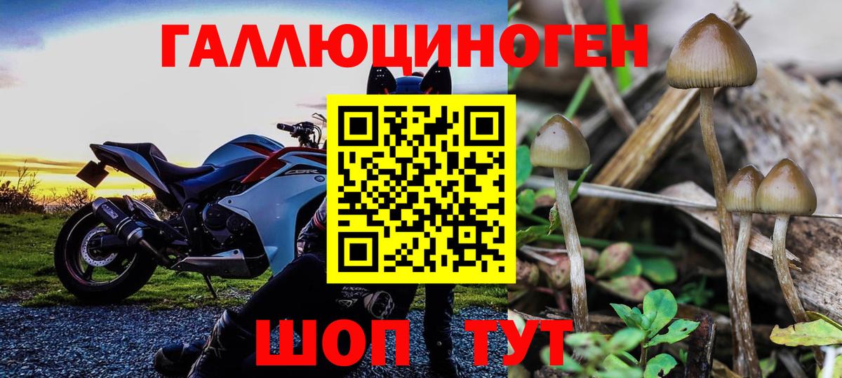 Егорьевск  Галлюциногенные грибы GOLDEN TEACHER  Вход с VPN 